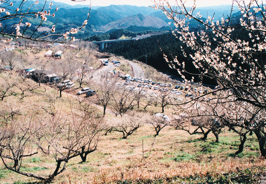 写真3